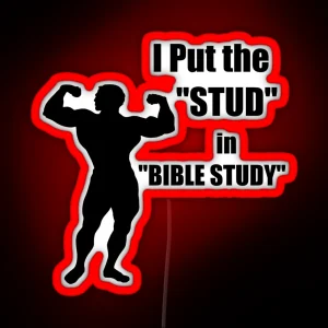 I Put The STUD In BIBLE STUDY RGB Neon Sign