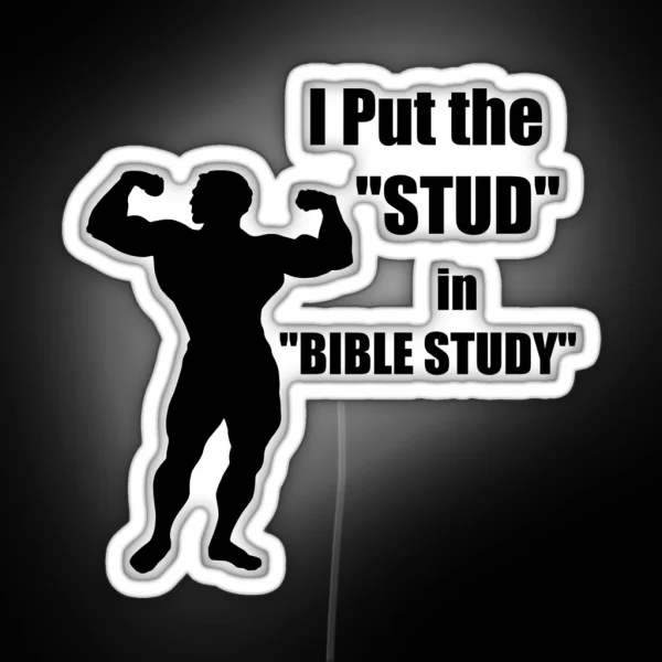 I Put The STUD In BIBLE STUDY RGB Neon Sign