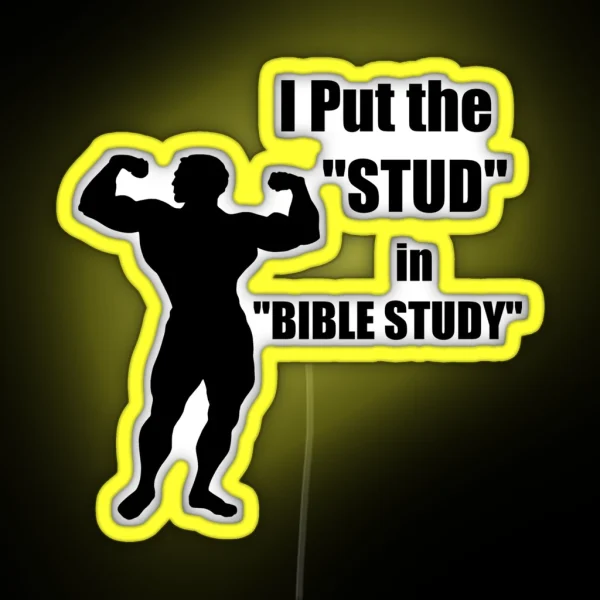 I Put The STUD In BIBLE STUDY RGB Neon Sign