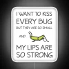 Quirky Home Decor Accent for the Insect Enthusiast at Heart.