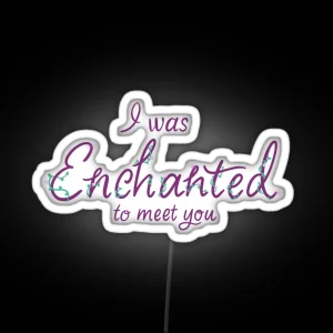 I Was Enchanted To Meet You RGB Neon Sign