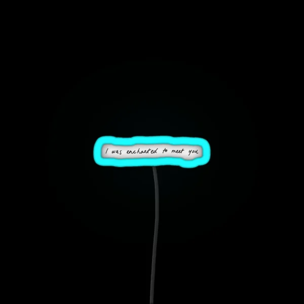 I Was Enchanted To Meet You RGB Neon Sign
