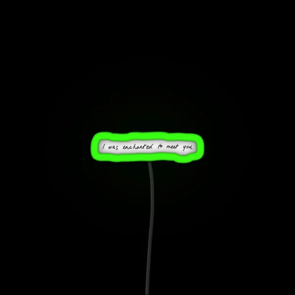 I Was Enchanted To Meet You RGB Neon Sign