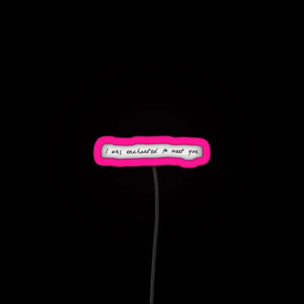 I Was Enchanted To Meet You RGB Neon Sign