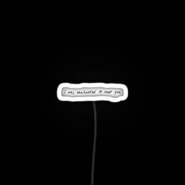 I Was Enchanted To Meet You RGB Neon Sign