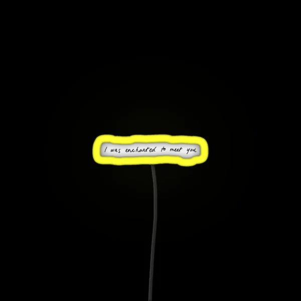 I Was Enchanted To Meet You RGB Neon Sign