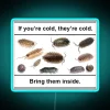 Laugh Out Loud with RGB Neon Sign Inspired Cold Meme Joke