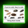 RGB Neon Sign Isopod Meme Home Decor Cold Humor Gift