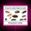 RGB Neon Sign Mimics Viral 'Isopod' Meme Cold Temperature Humor