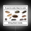 Laugh with relatable reptilian friends in glowing meme-approved ambiance.