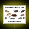 Laughing Cold-Proof LED Sign for Isopod Fans with Neon Meme Design