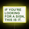 RGB Color Changing Neon LED Sign in Various Bright Colors