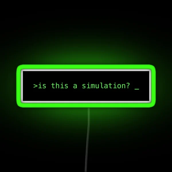 Is This A Simulation RGB Neon Sign