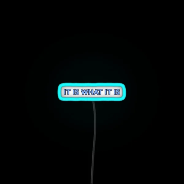 It Is What It Is RGB Neon Sign