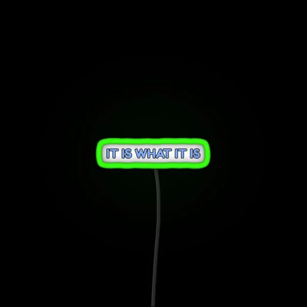 It Is What It Is RGB Neon Sign