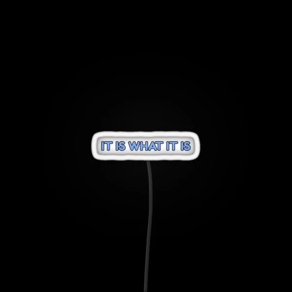 It Is What It Is RGB Neon Sign