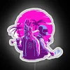 Customizable jacket and biker themed RGB neon LED display