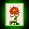 Japanese-inspired vibrant orange gold chrysanthemum neon wall decoration art piece