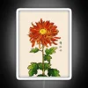 Vibrant Japanese Chrysanthemum Orange and Gold LED Neon Sign Accents