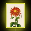 Japanese Chrysanthemum Ornate Design in Vibrant Orange and Golden Color
