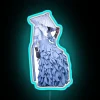 RGB Color Changing Neon Sign with Customizable Text Designs Available