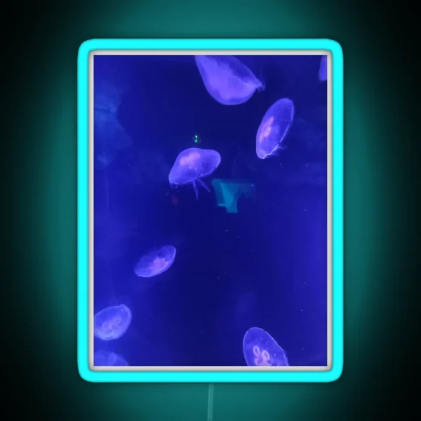 Jellyfish 2 RGB Neon Sign