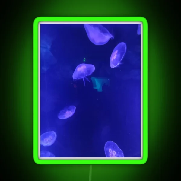 Jellyfish 2 RGB Neon Sign