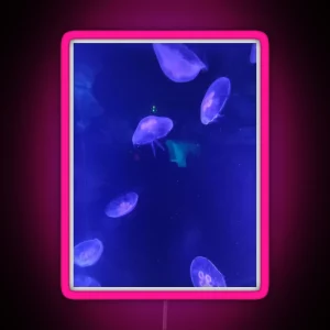 Jellyfish 2 RGB Neon Sign