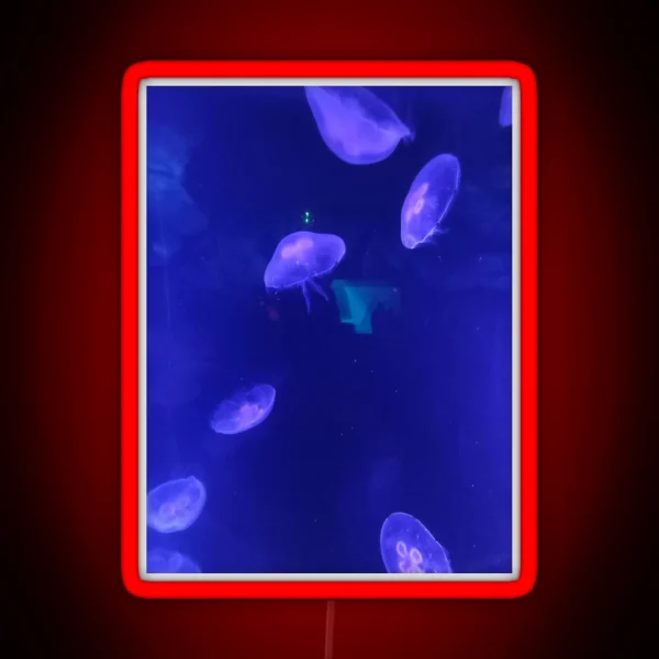 Jellyfish 2 RGB Neon Sign
