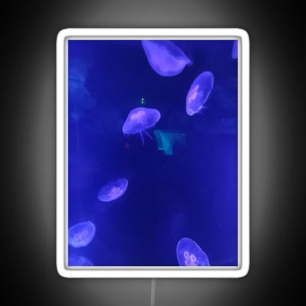 Jellyfish 2 RGB Neon Sign