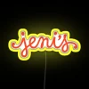 Color changing led neon rgb signs for ice cream shop ambiance