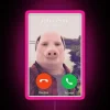 Vibrant RGB Neon Memes Sign Featuring Classic Humorous John Pork Design