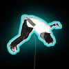 Vibrant Jordan Carter RGB Color-Changing Neon Sign Art Decor Lighting Solution