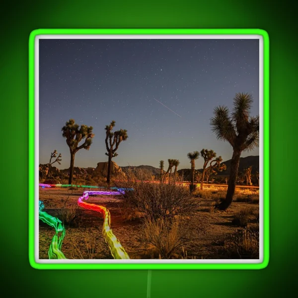 Joshua Tree With Rainbow Light Trails RGB Neon Sign