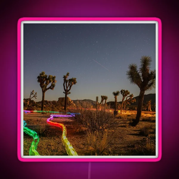 Joshua Tree With Rainbow Light Trails RGB Neon Sign