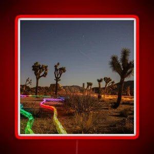 Joshua Tree With Rainbow Light Trails RGB Neon Sign