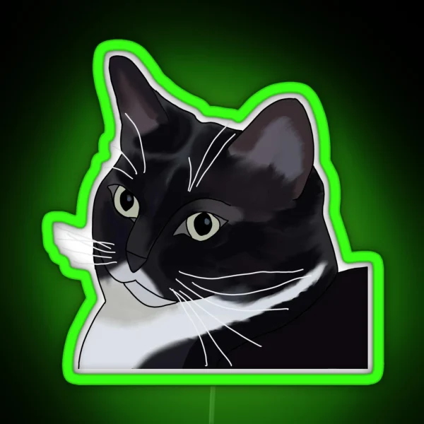 Judgmental Kitty Cat RGB Neon Sign