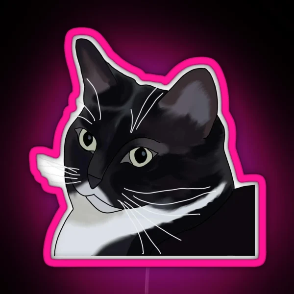 Judgmental Kitty Cat RGB Neon Sign