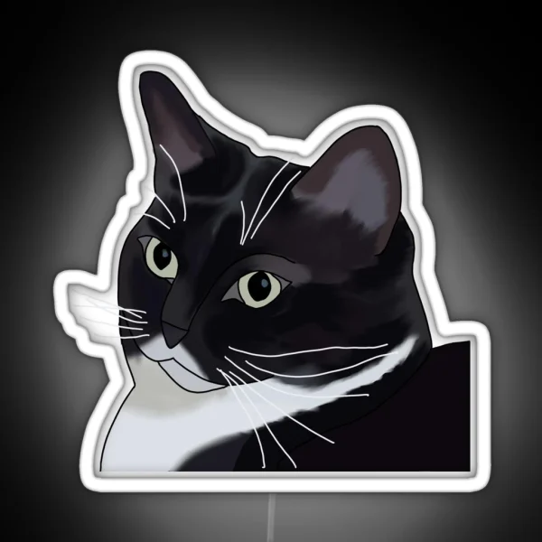 Judgmental Kitty Cat RGB Neon Sign