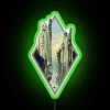 Vibrant Kings Neon Sign with Color-Changing RGB LED Lighting Effects