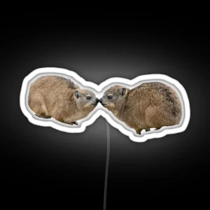 Kissing Rock Hyrax RGB Neon Sign