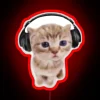 Cute Kitten Grooving to Music with Colorful Neon Lights