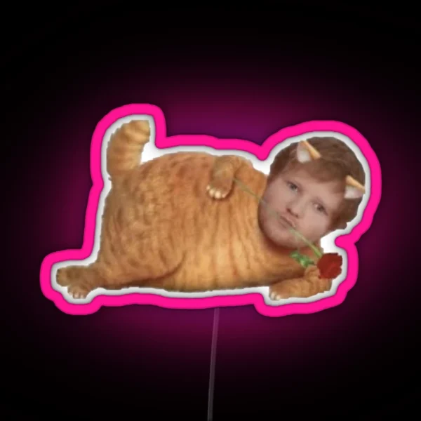 Kitty Ed RGB Neon Sign