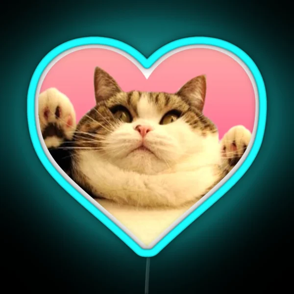 Kitty Led Chubby Kitty RGB Neon Sign