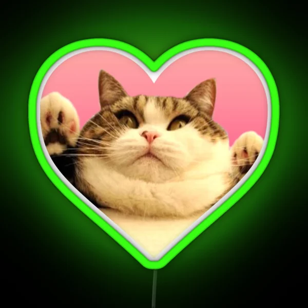 Kitty Led Chubby Kitty RGB Neon Sign