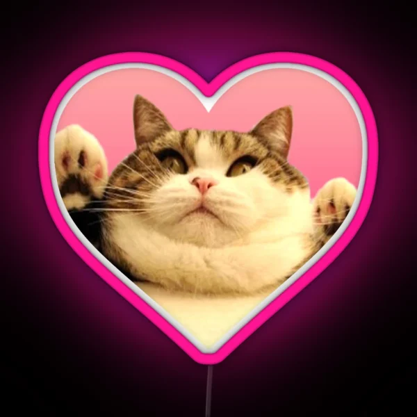 Kitty Led Chubby Kitty RGB Neon Sign