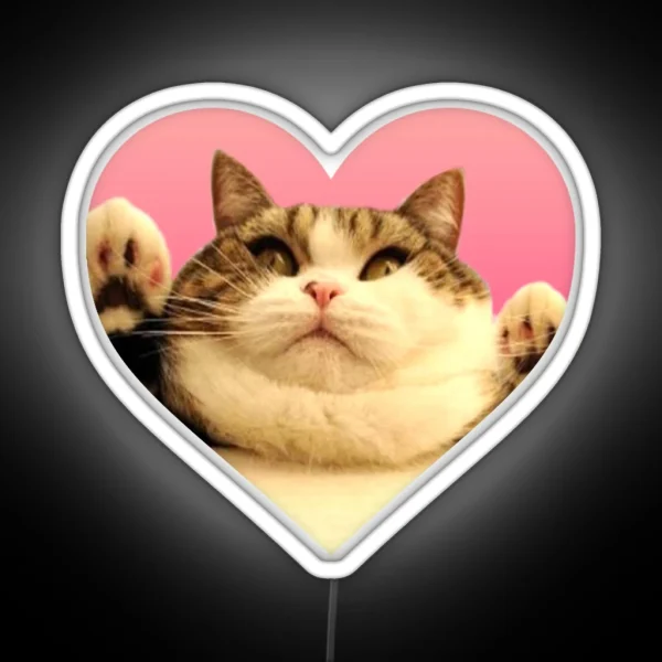 Kitty Led Chubby Kitty RGB Neon Sign