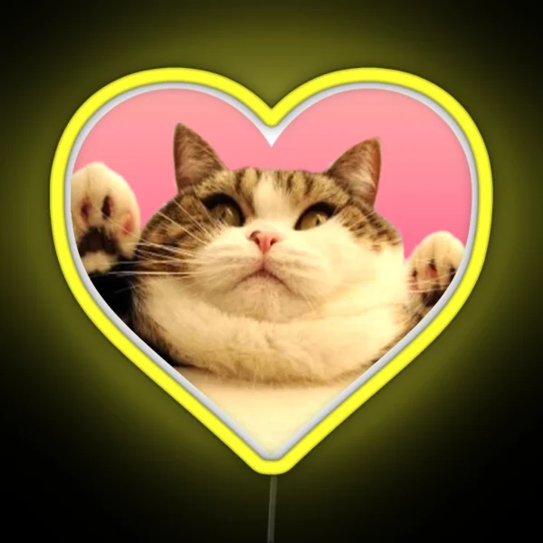 Kitty Led Chubby Kitty RGB Neon Sign