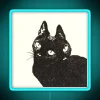 Brighten up your home decor with vibrant Kitty LED lighting
