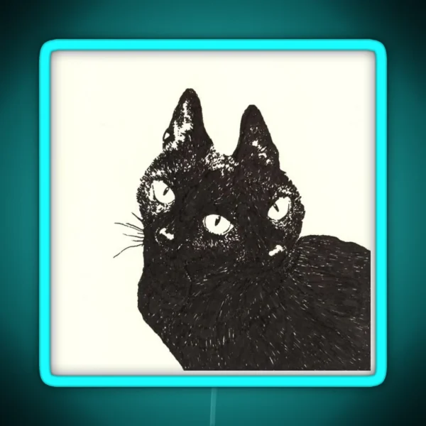 KITTY RGB Neon Sign